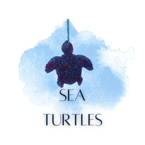 Sea Turtle Air Freshener