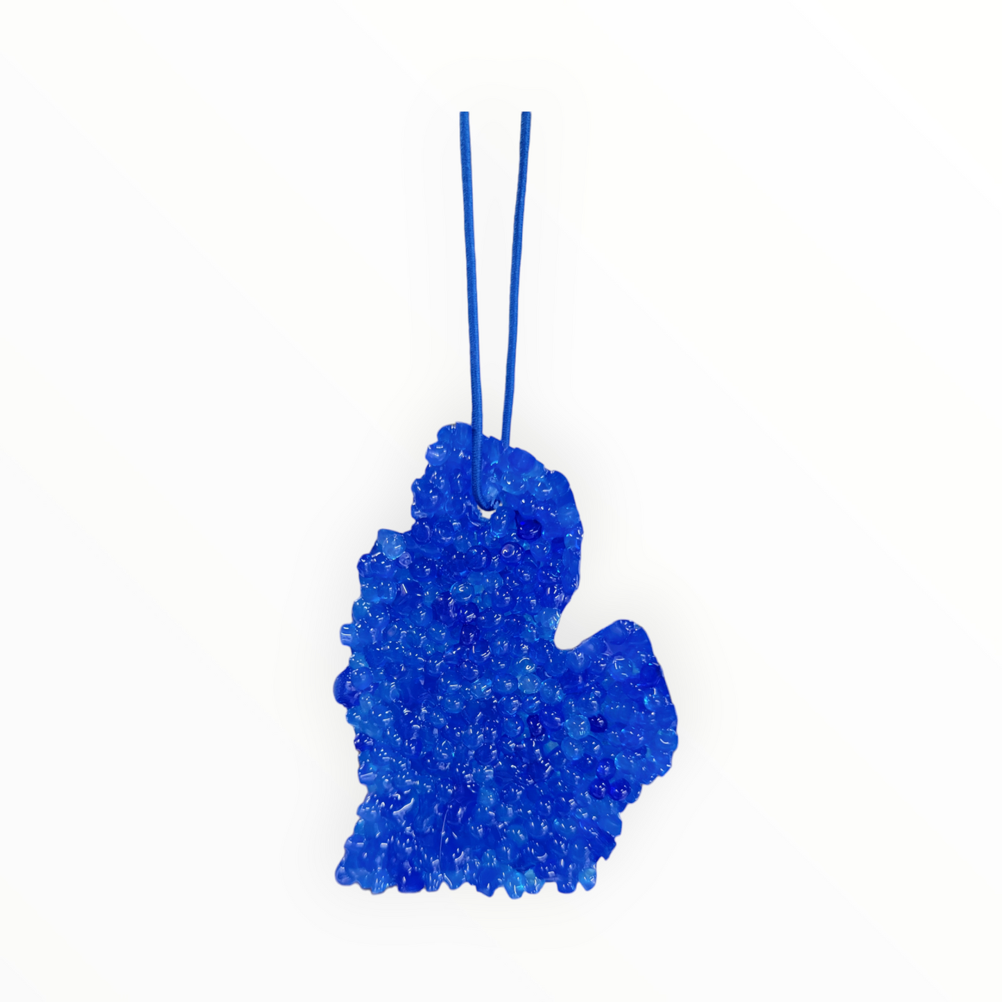 Blueberry Farm Michigan Mitten Air Freshener