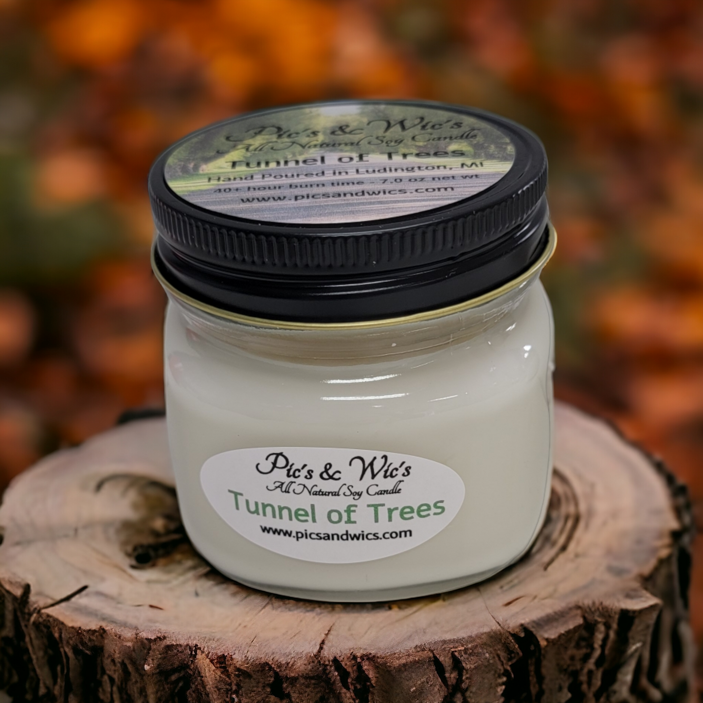 Tunnel of Trees Soy Candle