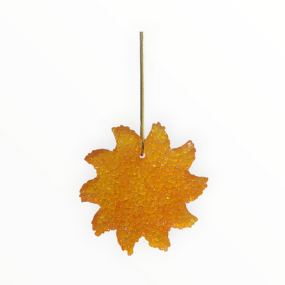 Sun Air Freshener