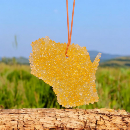 Wisconsin State Air Freshener