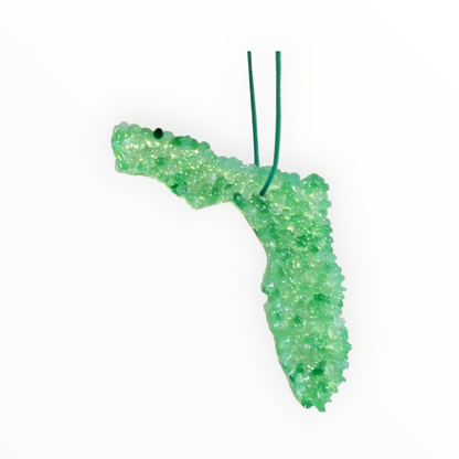 Florida Air Freshener