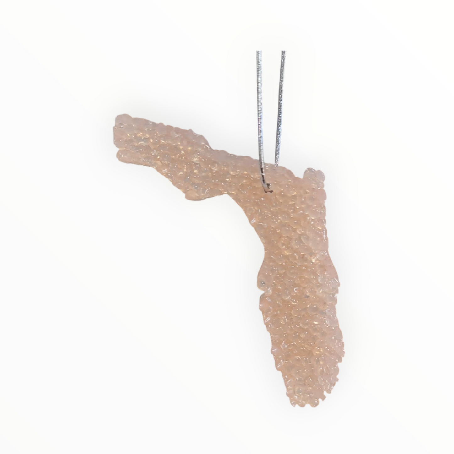 Florida Air Freshener