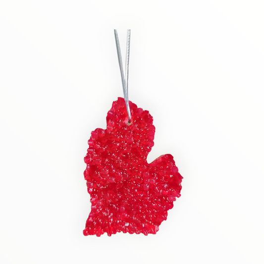 Macintosh Apple Michigan  Mitten Air Freshener