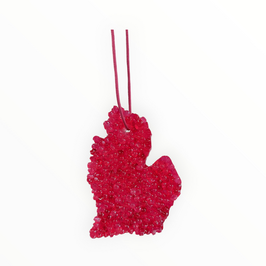 Pomegranate Michigan Mitten Air Freshener