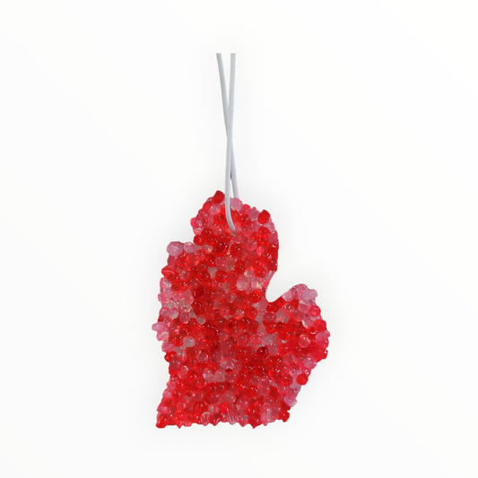 Strawberry Shortcake Michigan  Mitten Air Freshener