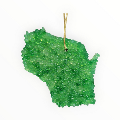 Wisconsin State Air Freshener