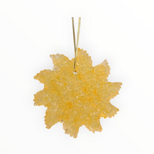 Sun Air Freshener