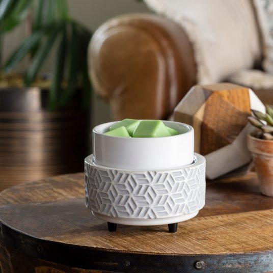 2 in 1 Fragrance Warmer/Melter